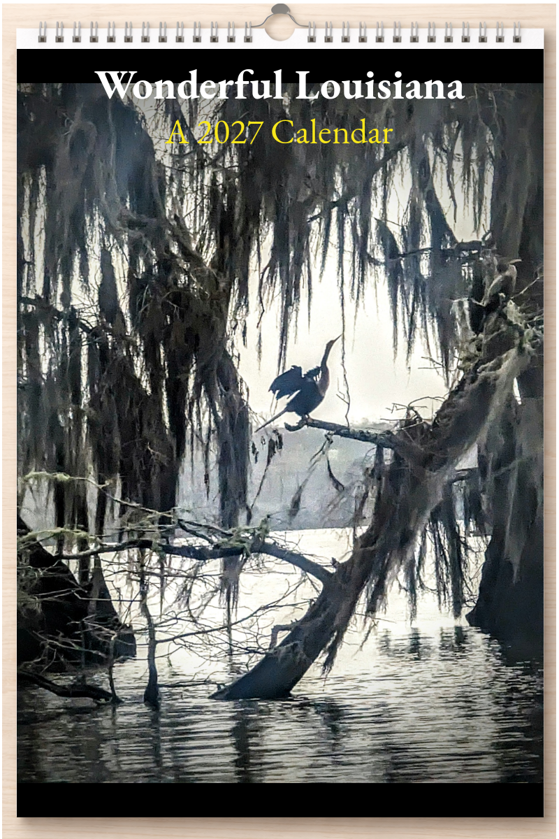 Wonderful Louisiana: A 2027 Calendar