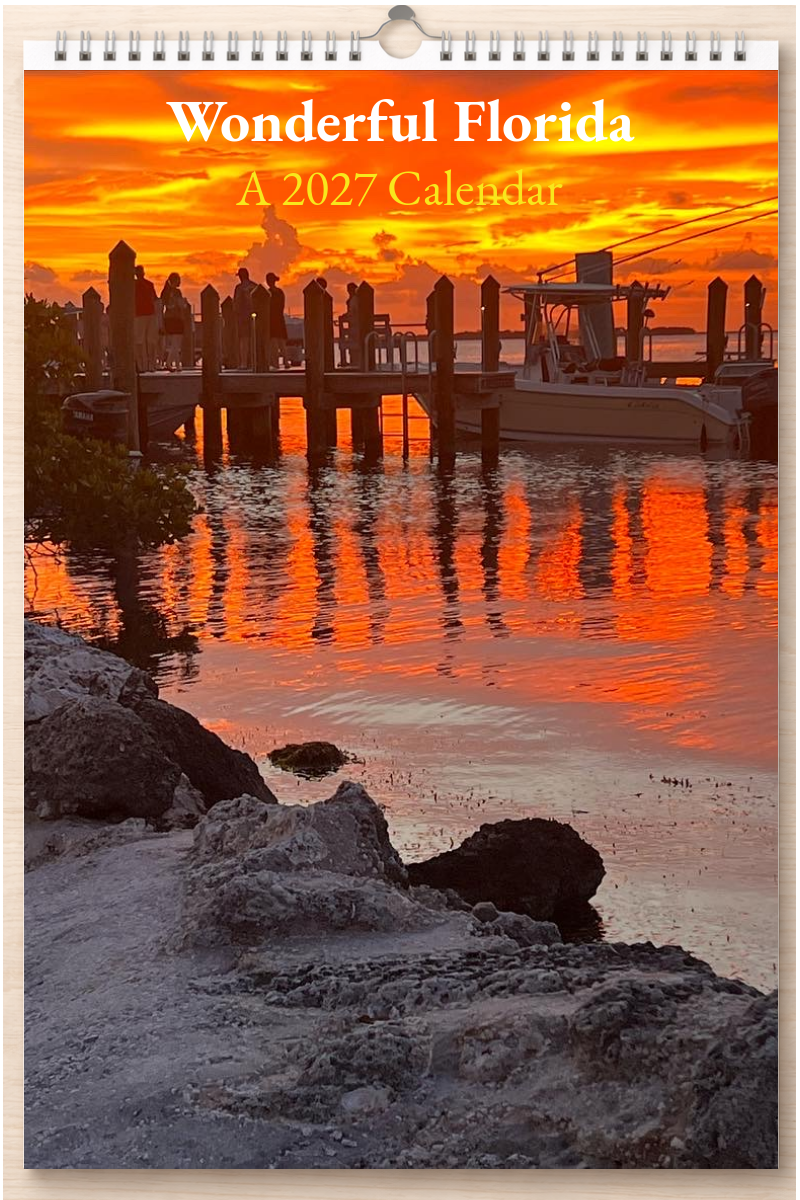 Wonderful Florida: A 2027 Calendar