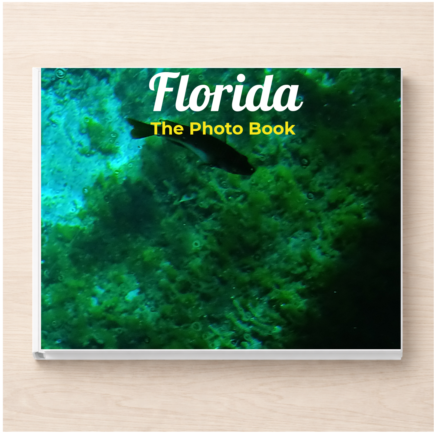 Florida: The Photo Book