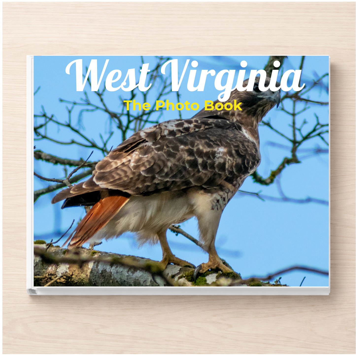 West Virginia: The Photo Book