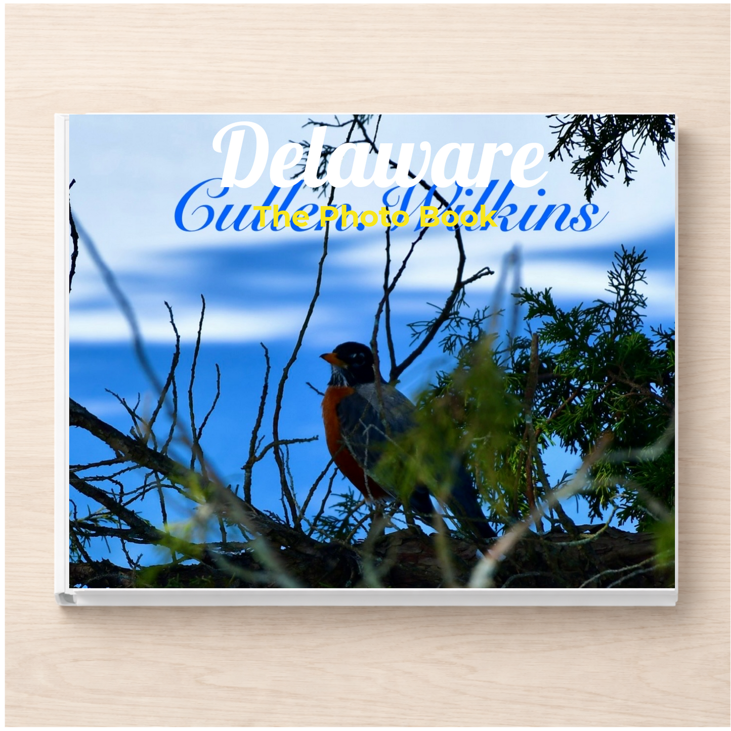 Delaware: The Photo Book