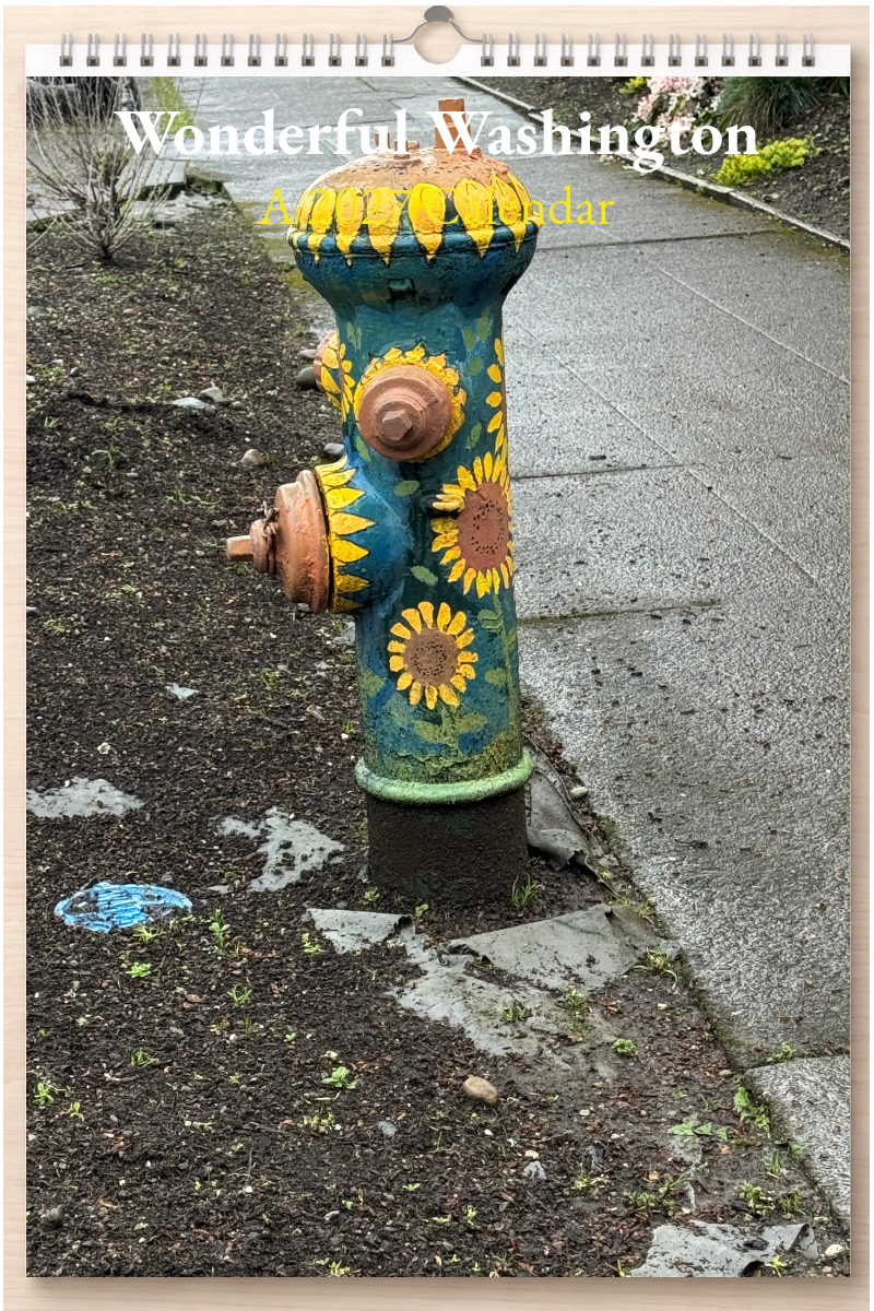 Wonderful Washington: A 2027 Calendar