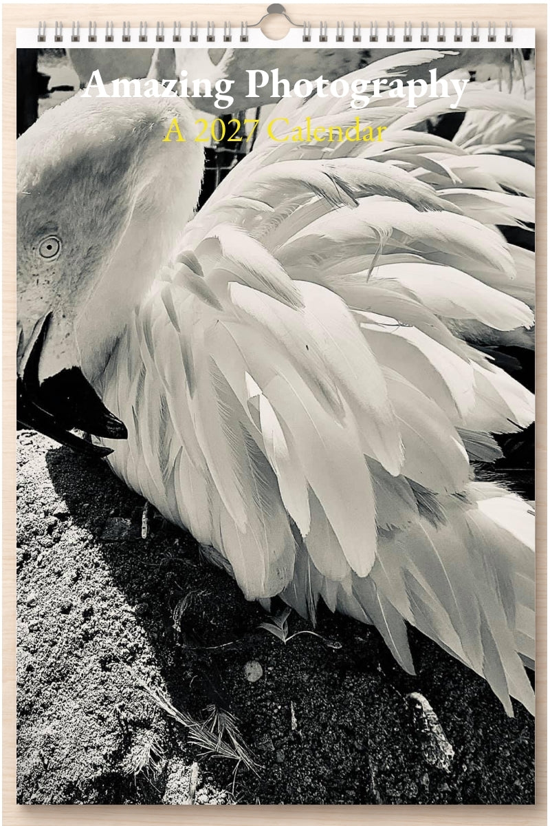 Amazing Photography: A 2027 Calendar