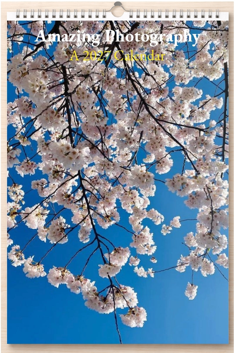 Amazing Photography: A 2027 Calendar