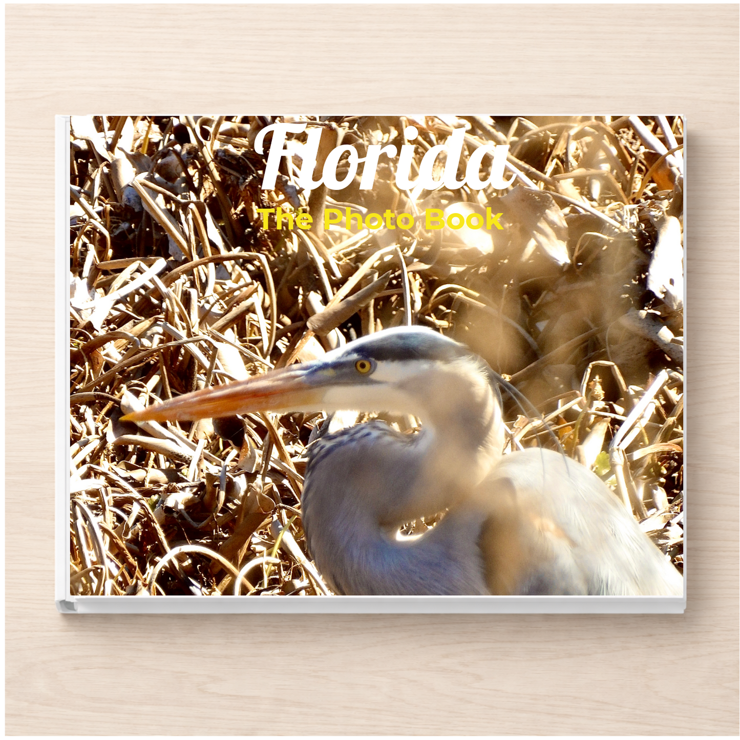 Florida: The Photo Book