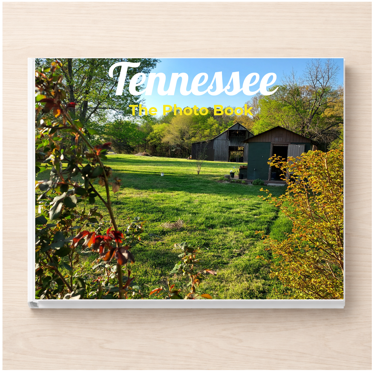 Tennessee: The Photo Book