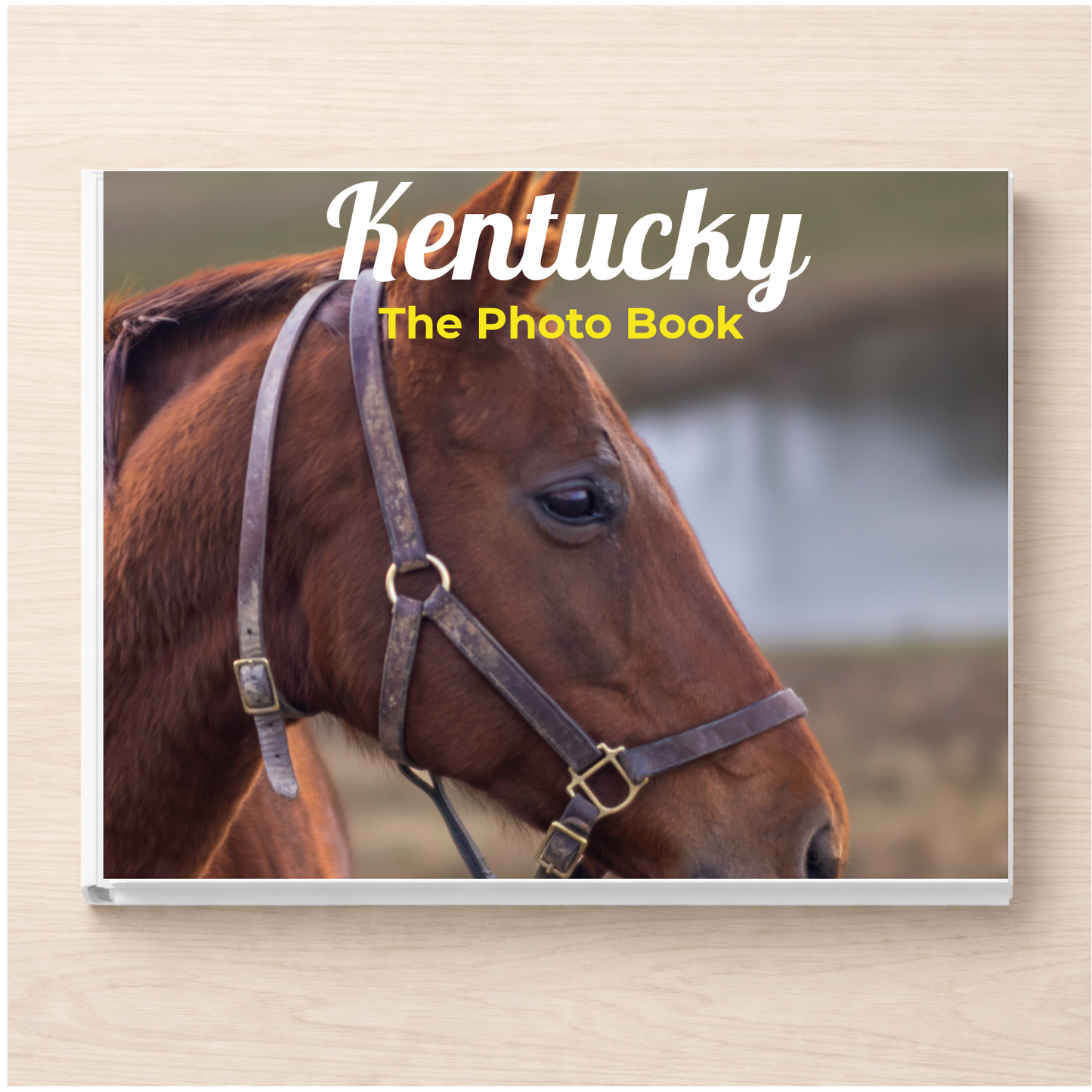 Kentucky: The Photo Book