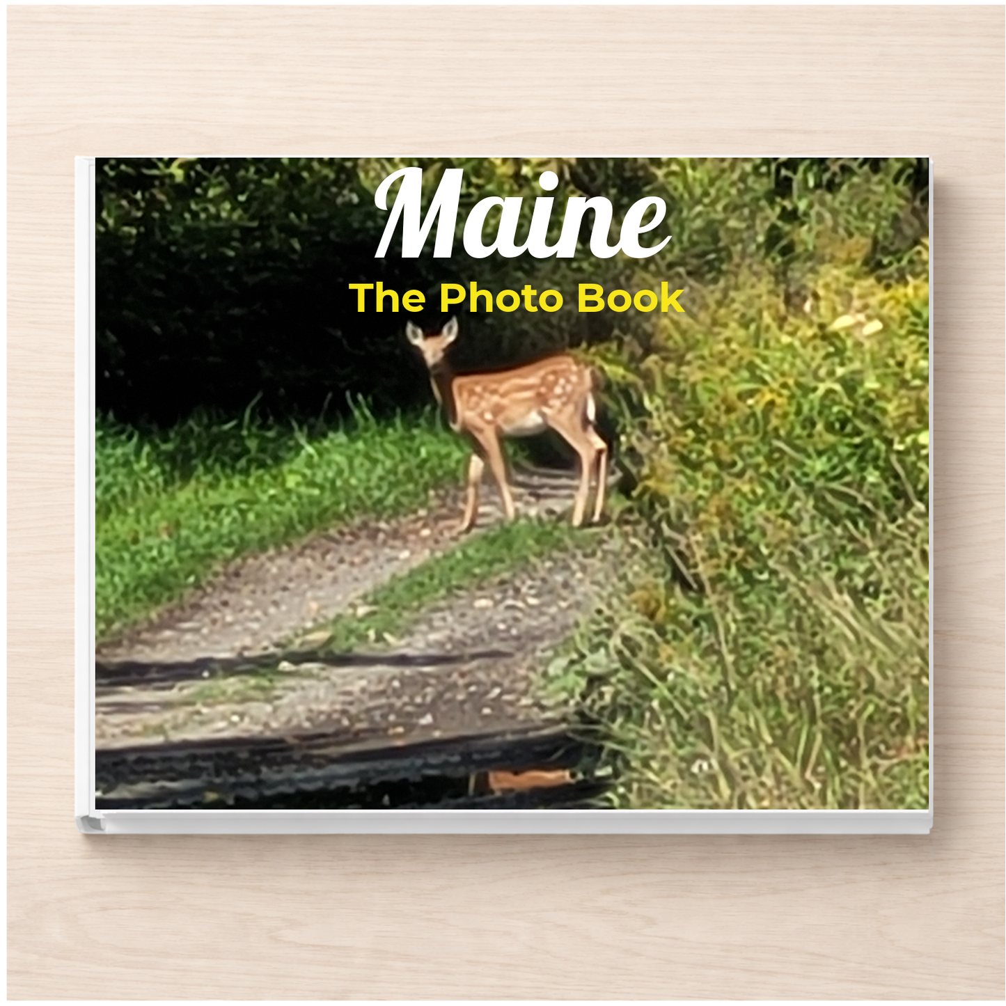 Maine: The Photo Book