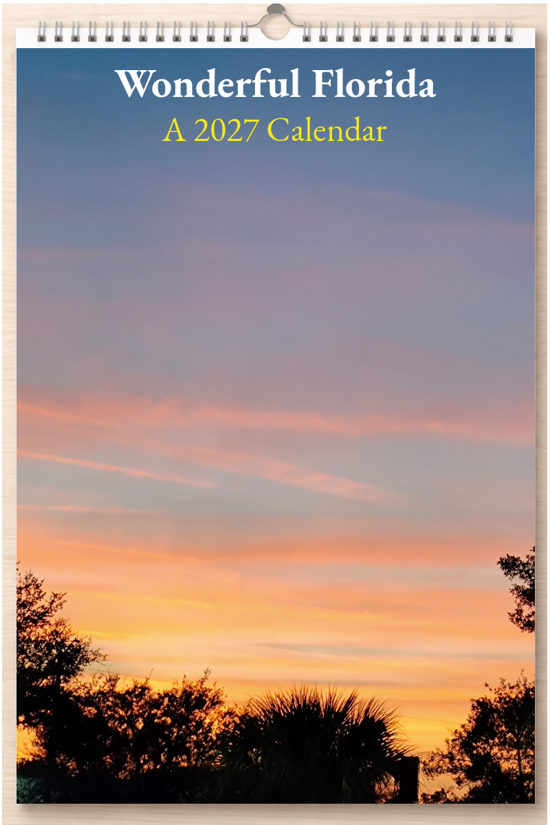 Wonderful Florida: A 2027 Calendar