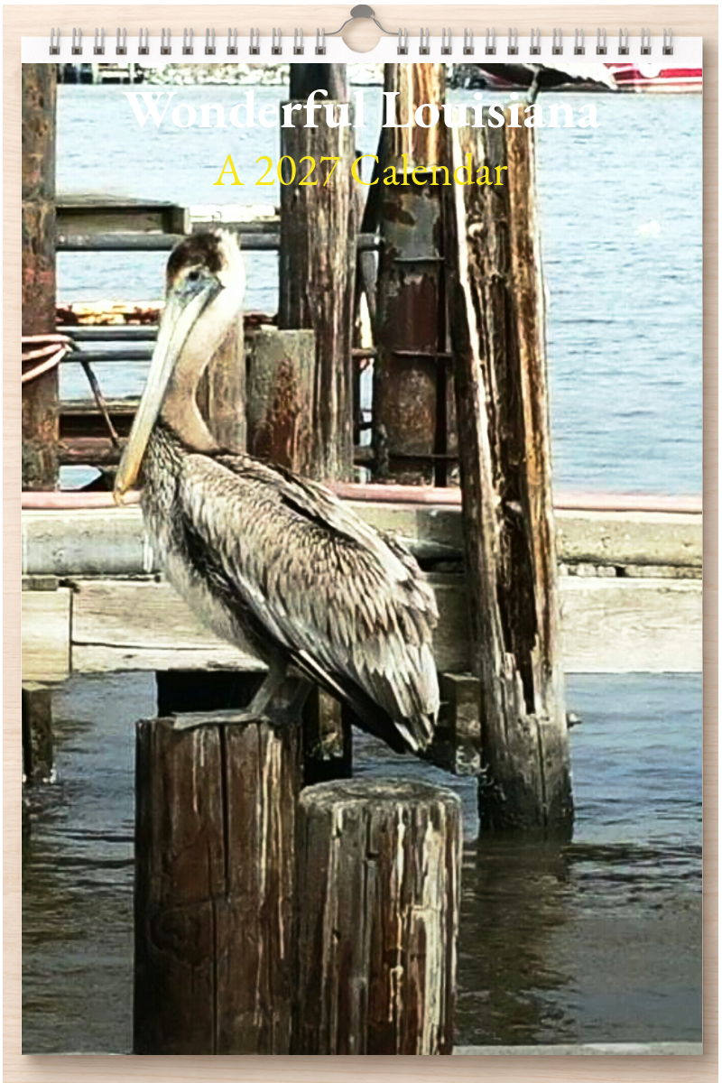 Wonderful Louisiana: A 2027 Calendar
