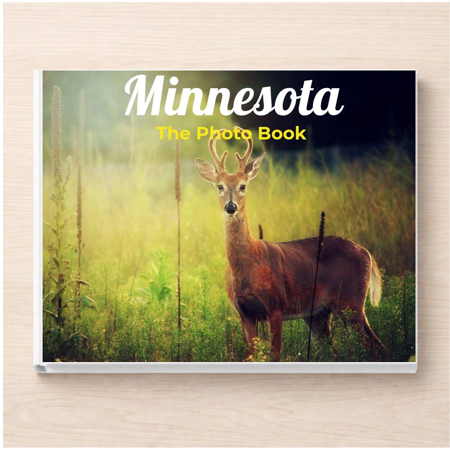 Minnesota: The Photo Book