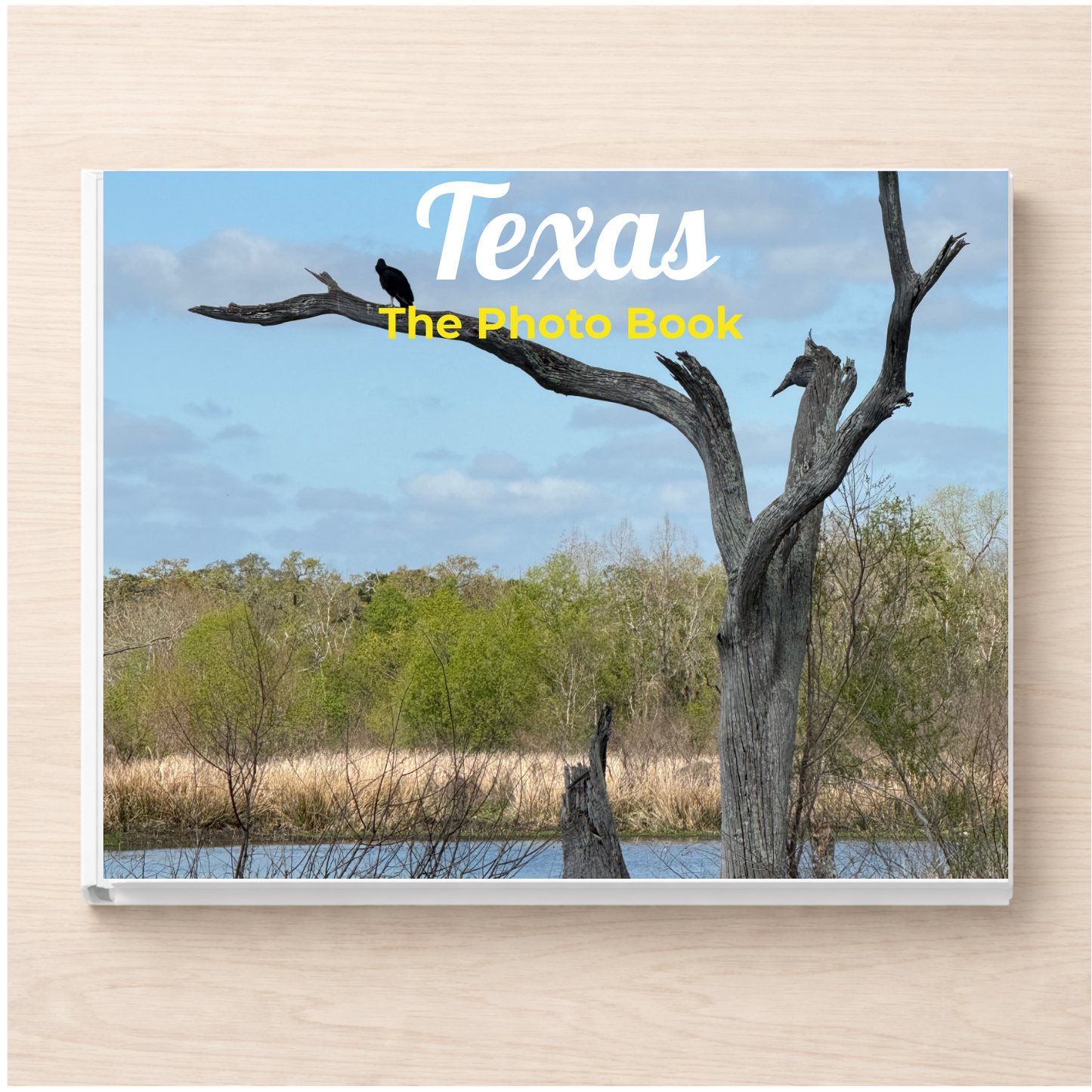 Texas: The Photo Book