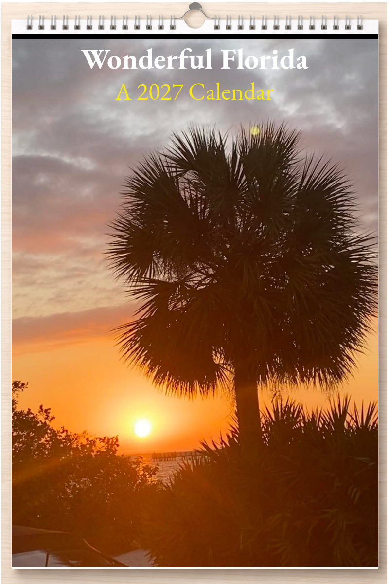 Wonderful Florida: A 2027 Calendar