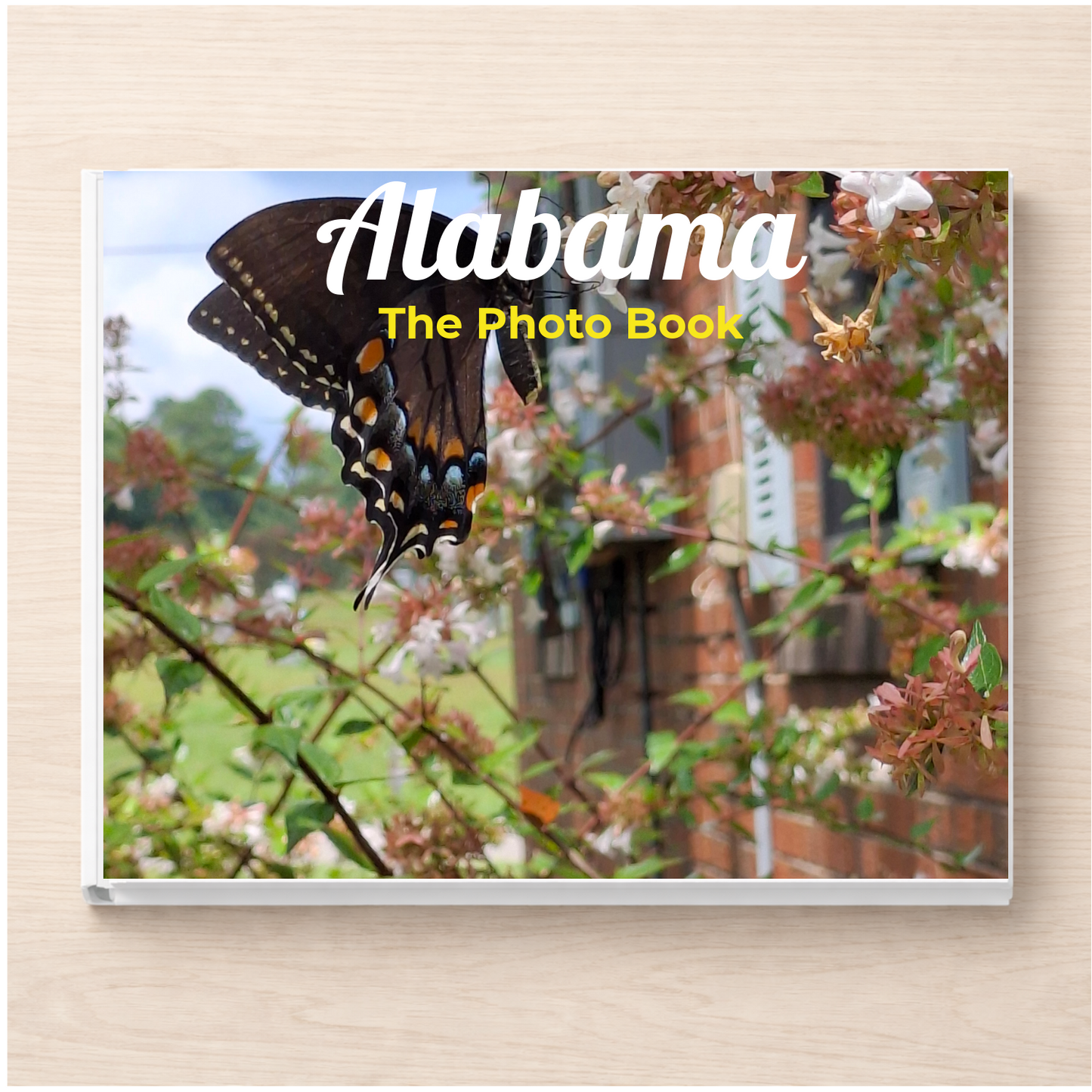 Alabama: The Photo Book
