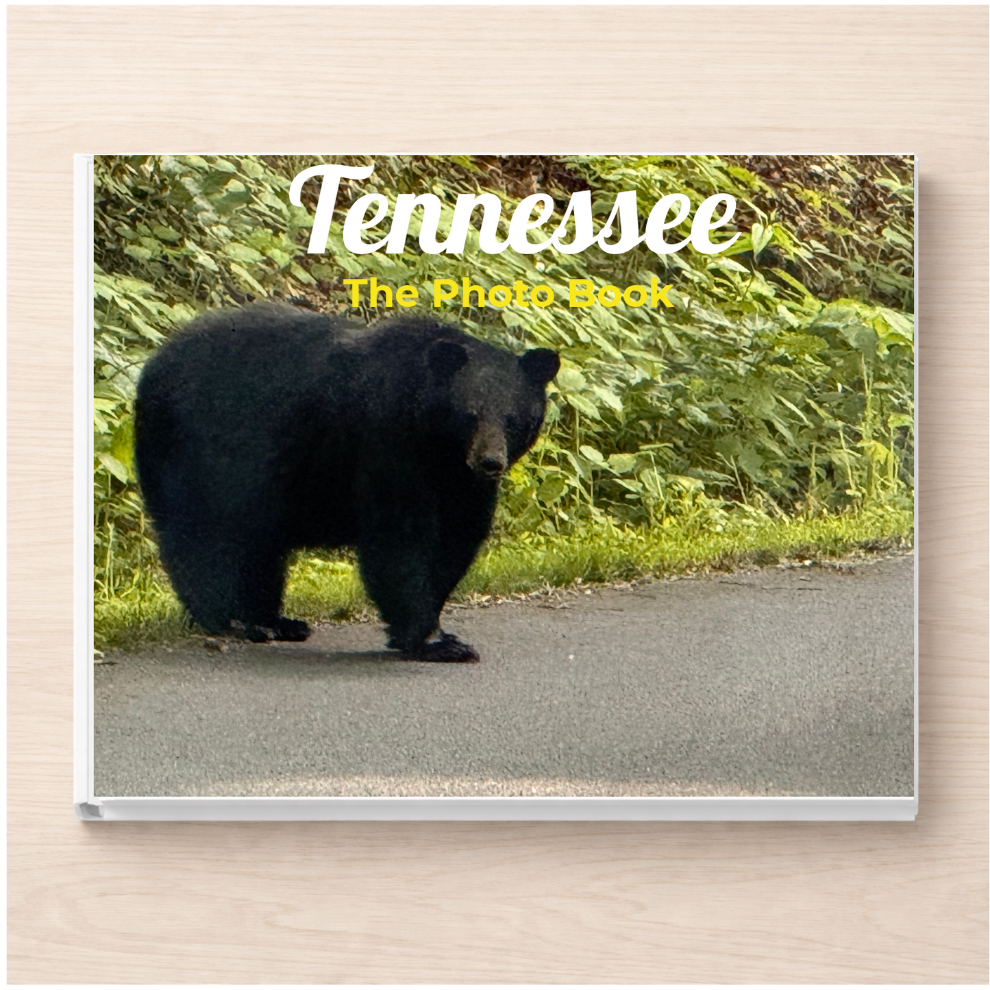Tennessee: The Photo Book