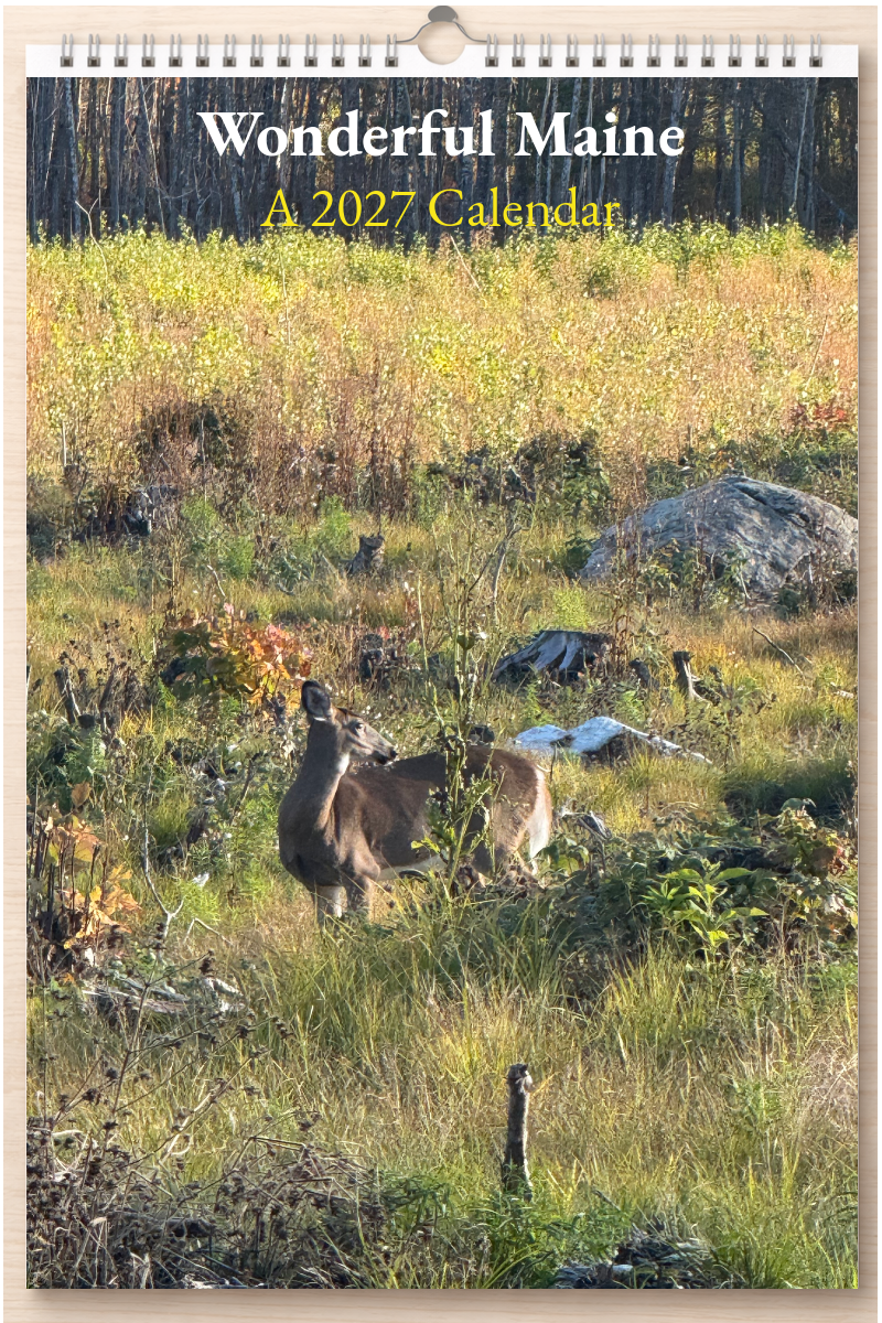 Wonderful Maine: A 2027 Calendar