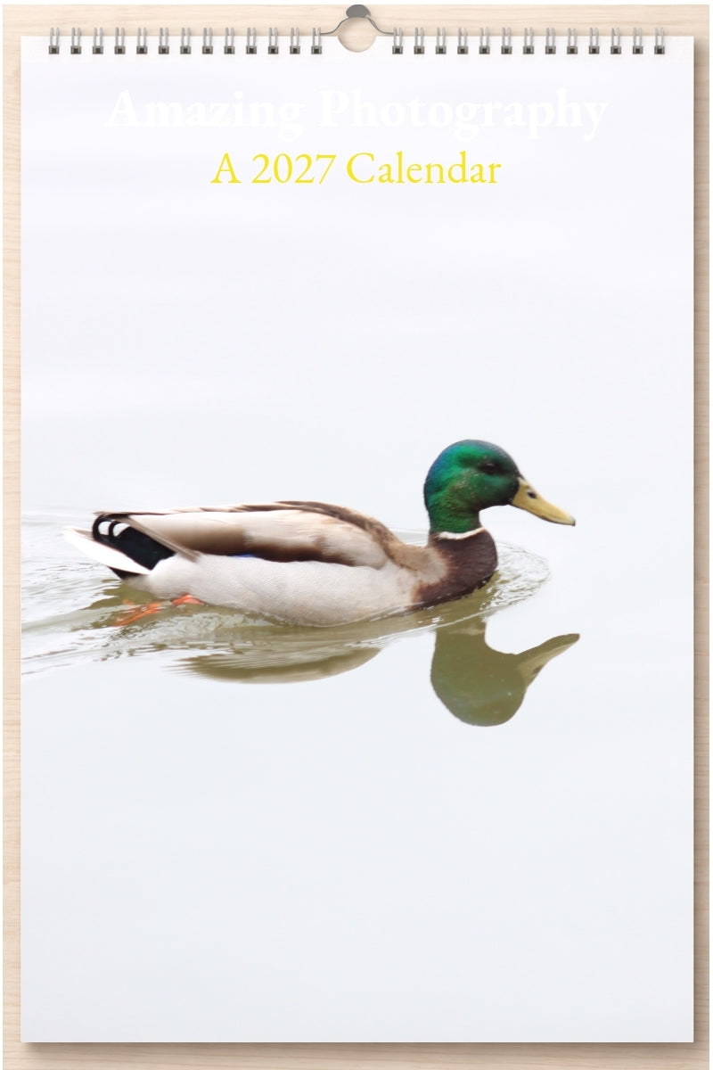 Amazing Photography: A 2027 Calendar