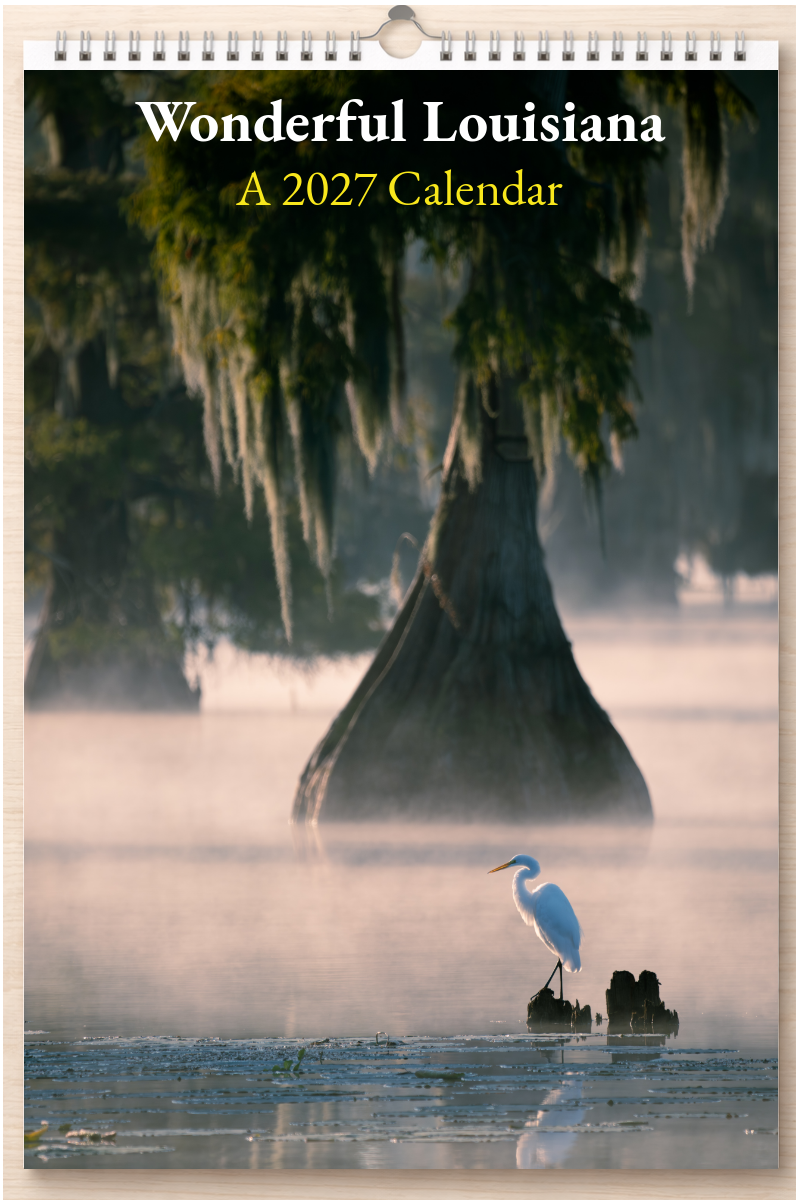 Wonderful Louisiana: A 2027 Calendar
