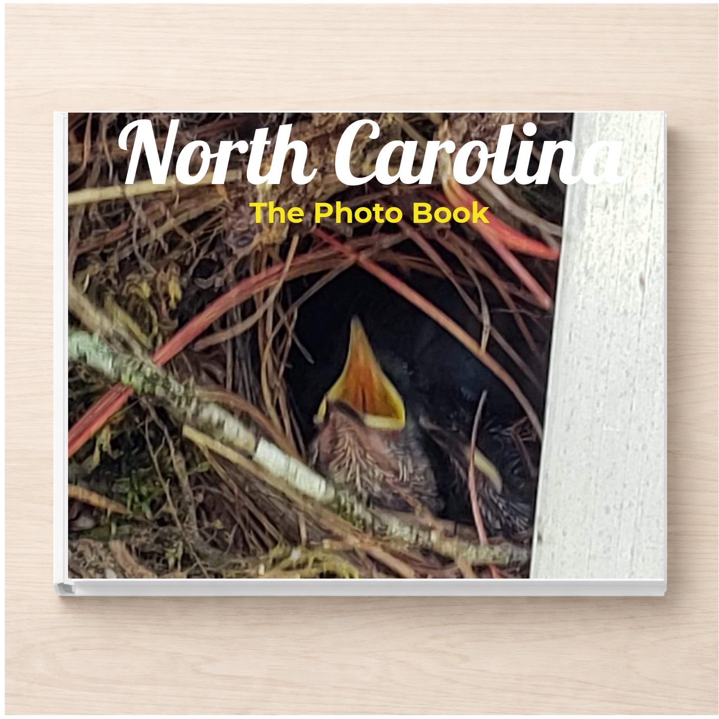 North Carolina: The Photo Book