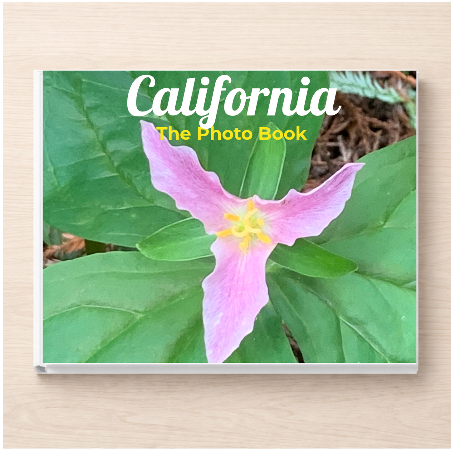 California: The Photo Book