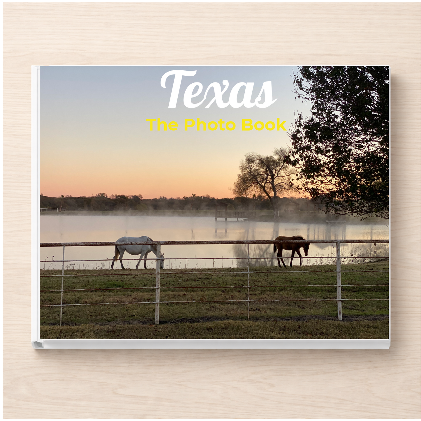 Texas: The Photo Book