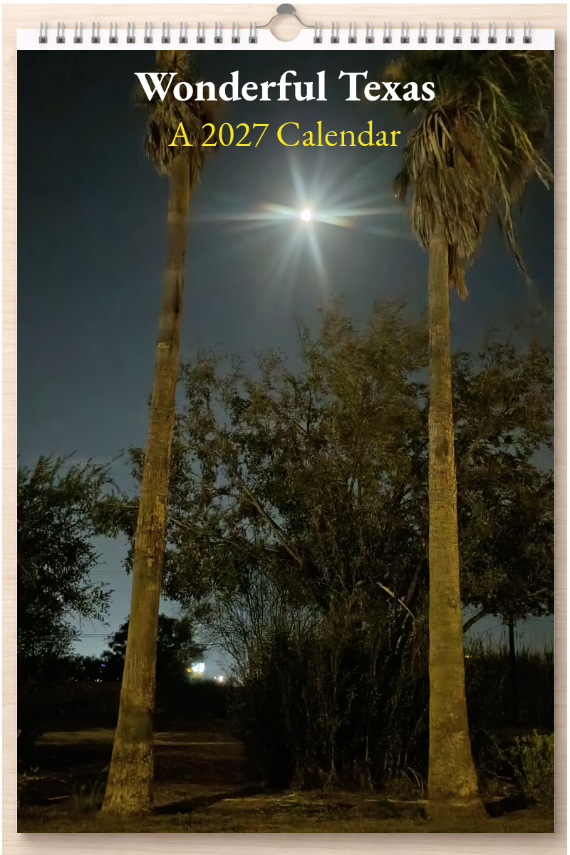 Wonderful Texas: A 2027 Calendar