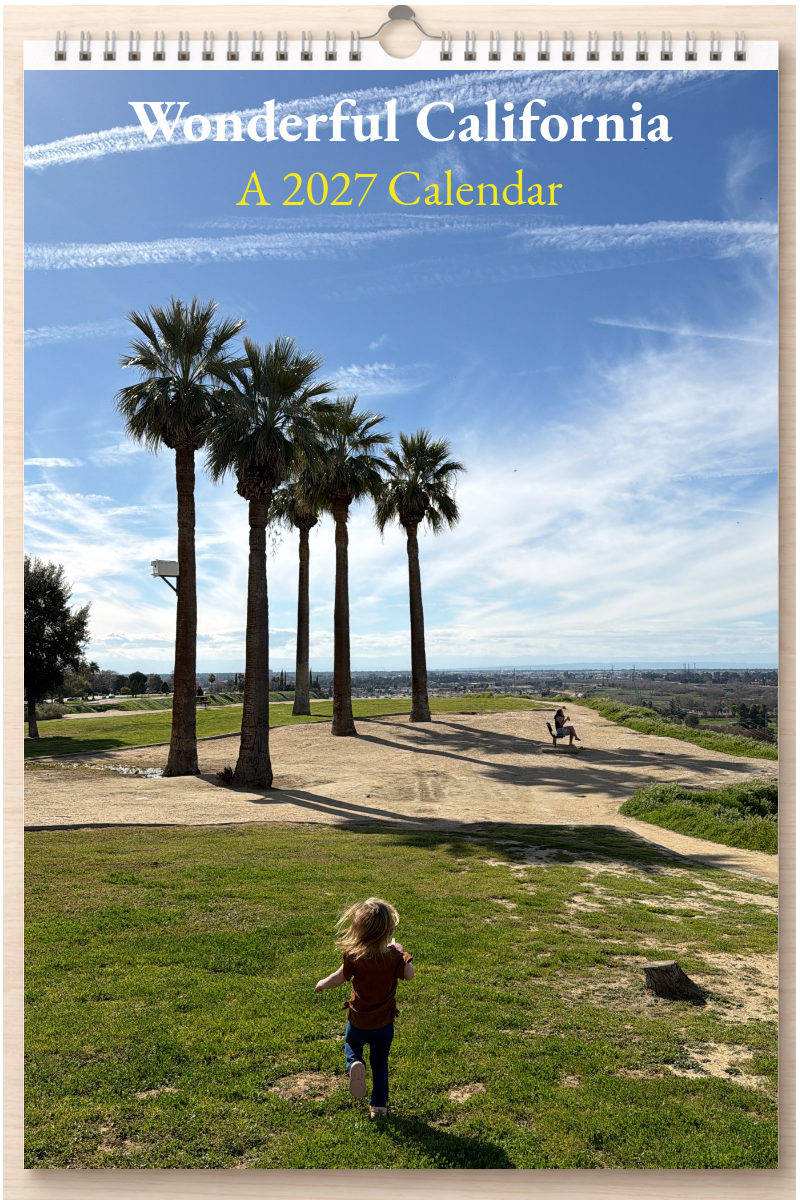 Wonderful California: A 2027 Calendar