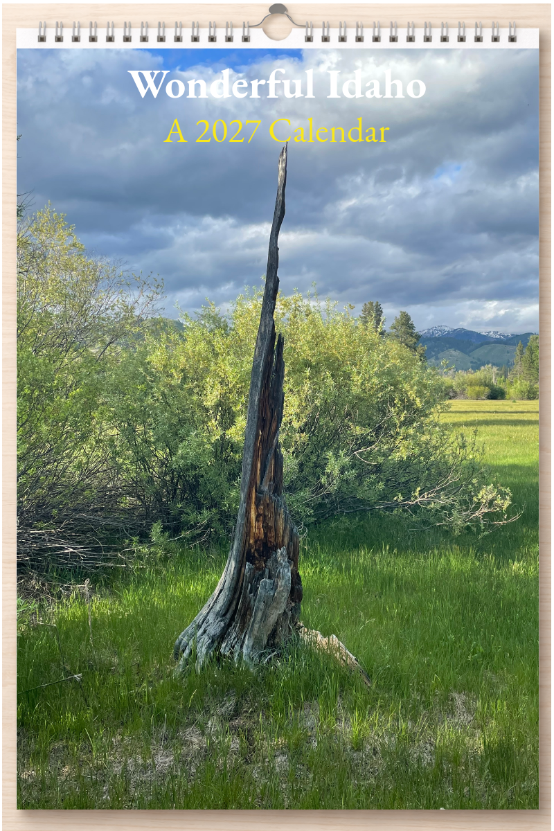 Wonderful Idaho: A 2027 Calendar