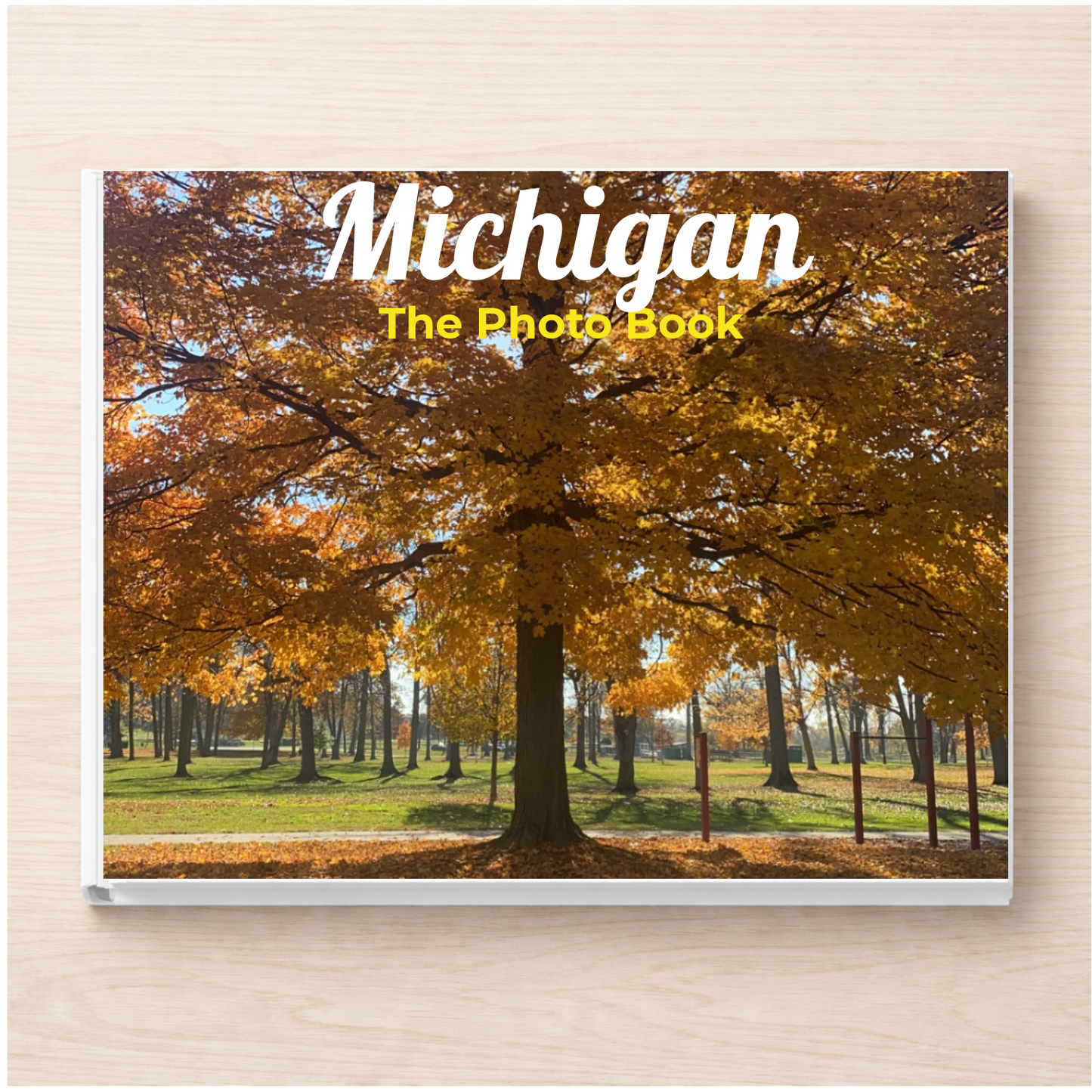 Michigan: The Photo Book