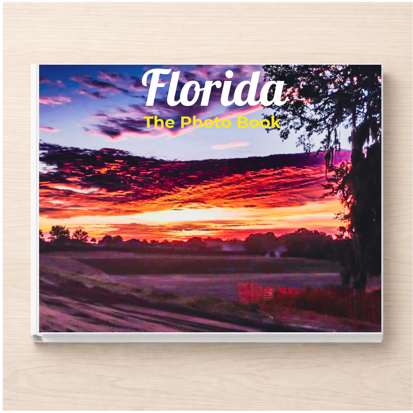 Florida: The Photo Book