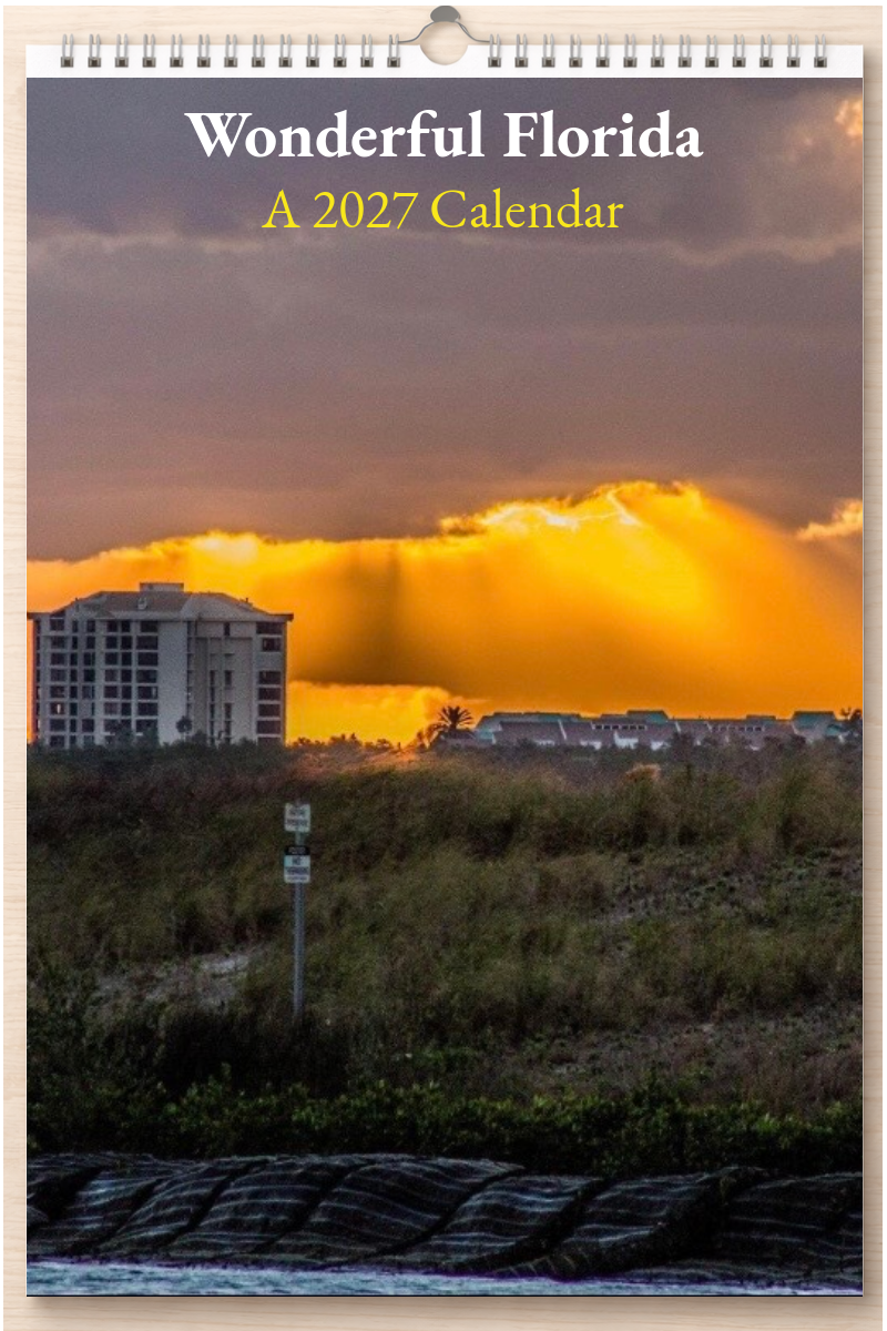 Wonderful Florida: A 2027 Calendar