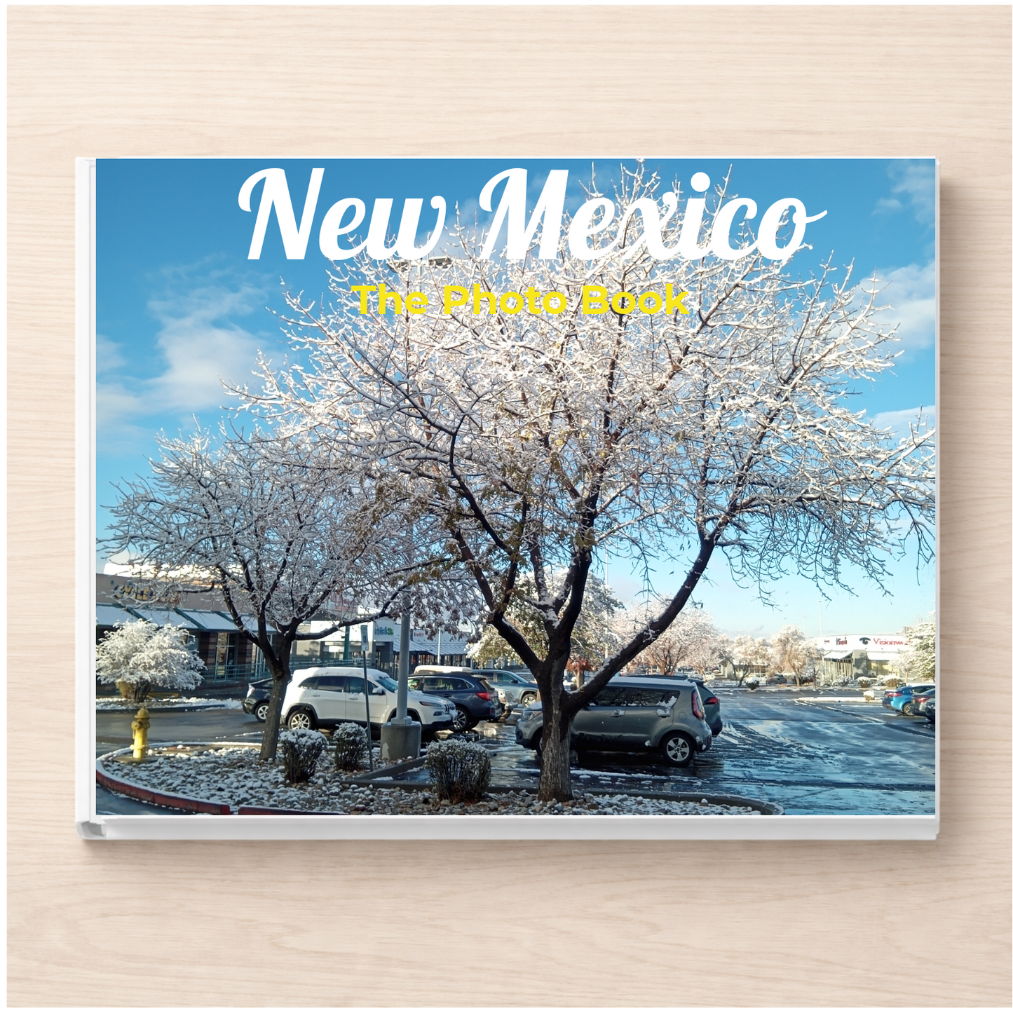 New Mexico: The Photo Book