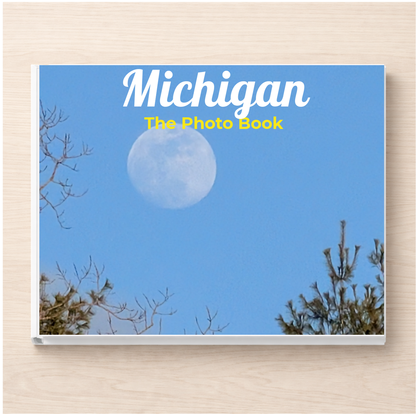 Michigan: The Photo Book
