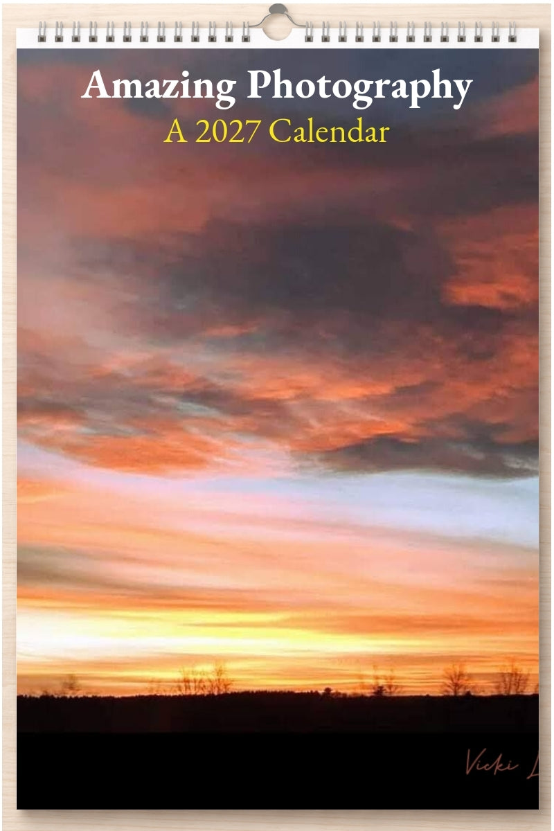 Amazing Photography: A 2027 Calendar