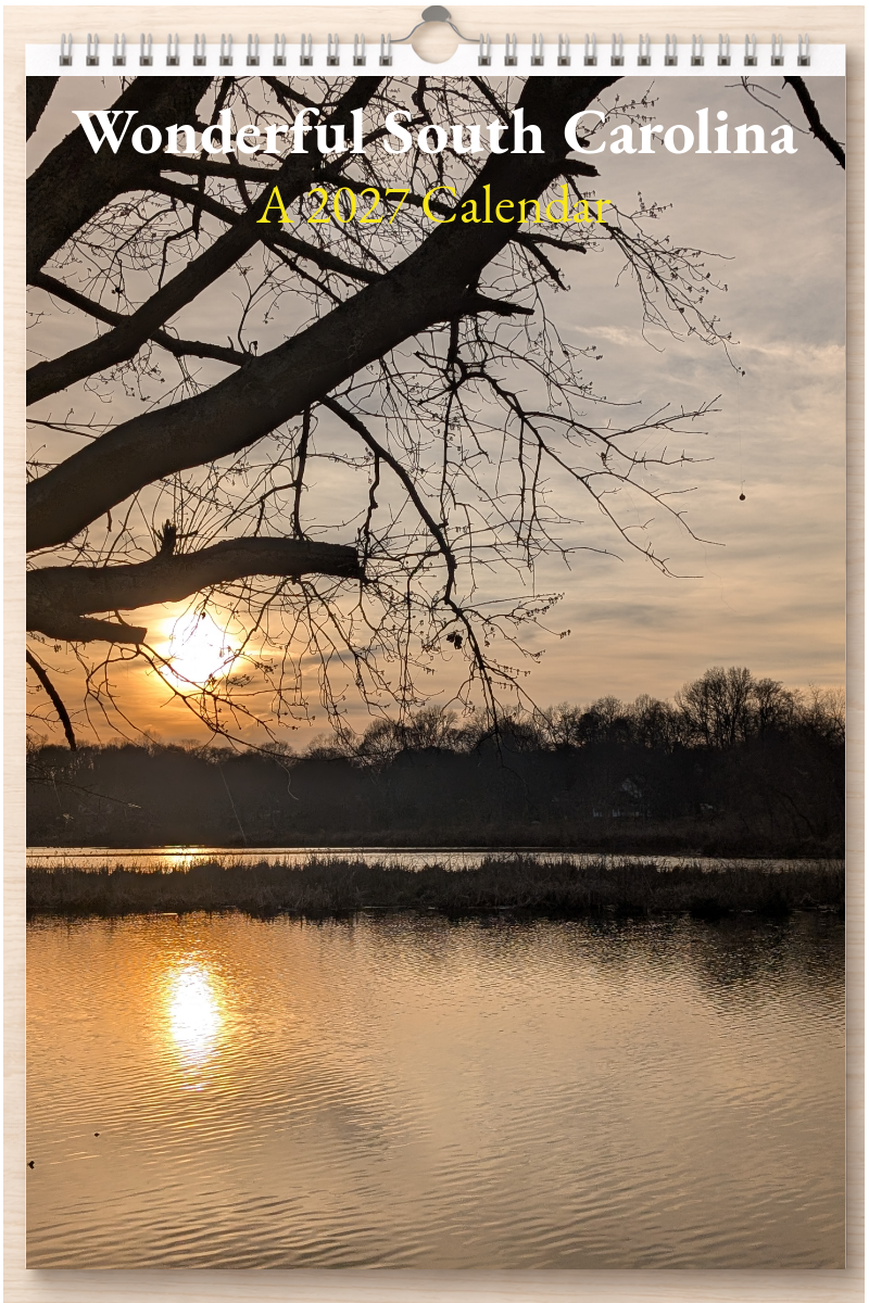 Wonderful South Carolina: A 2027 Calendar