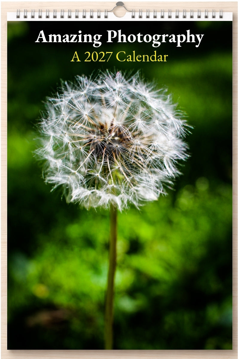 Amazing Photography: A 2027 Calendar