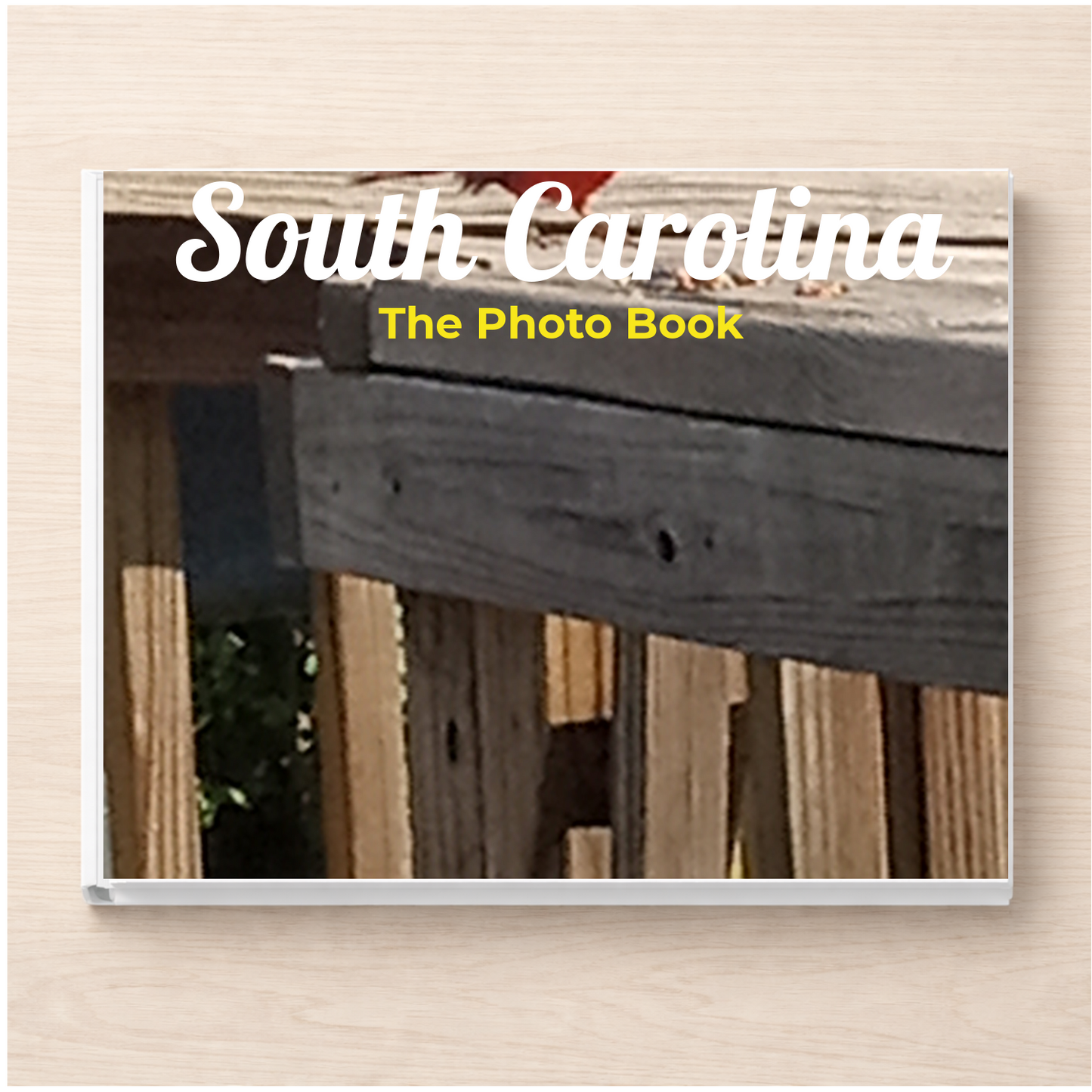 South Carolina: The Photo Book