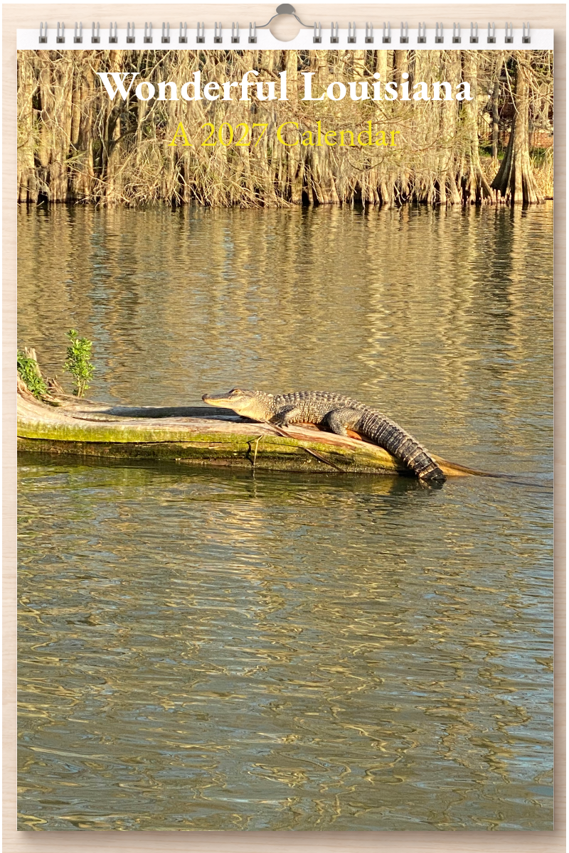 Wonderful Louisiana: A 2027 Calendar