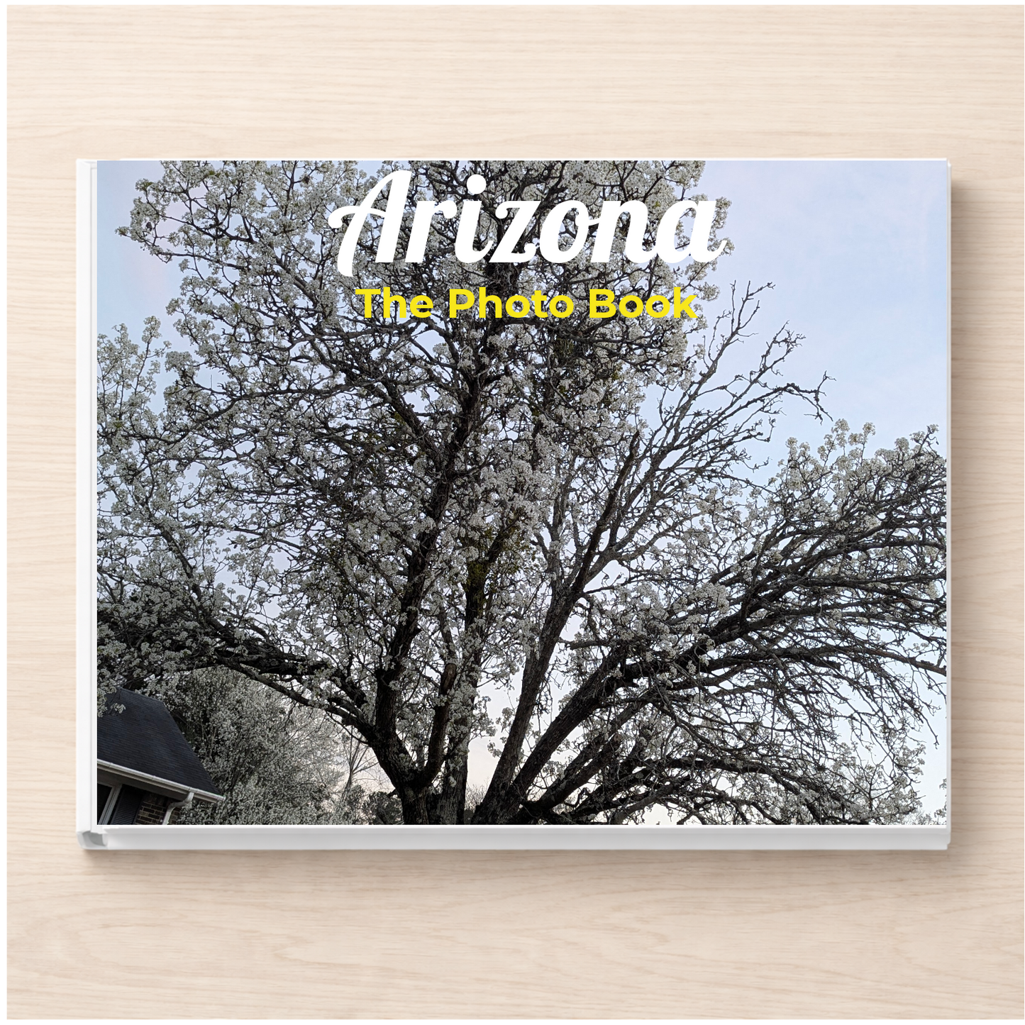 Arizona: The Photo Book