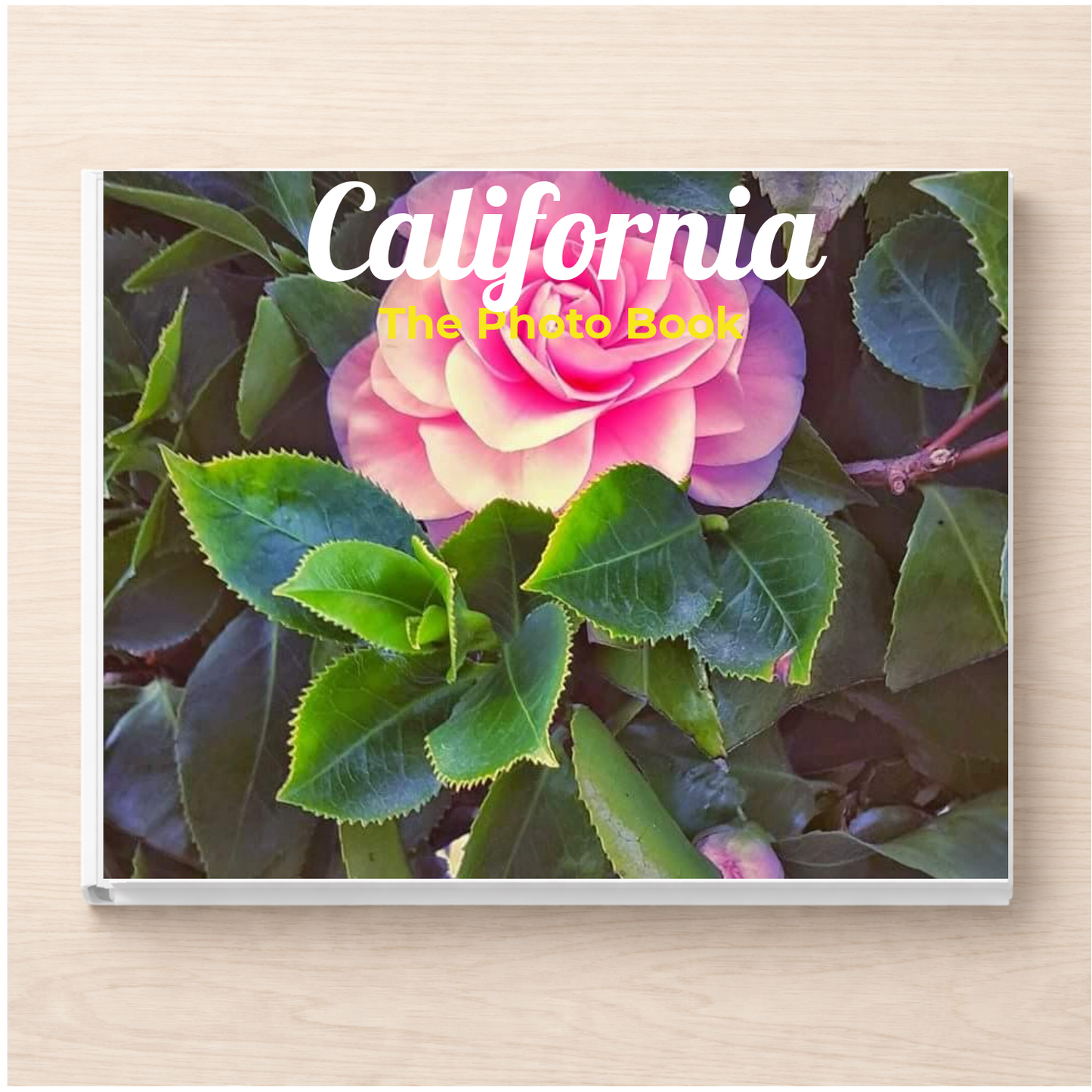 California: The Photo Book