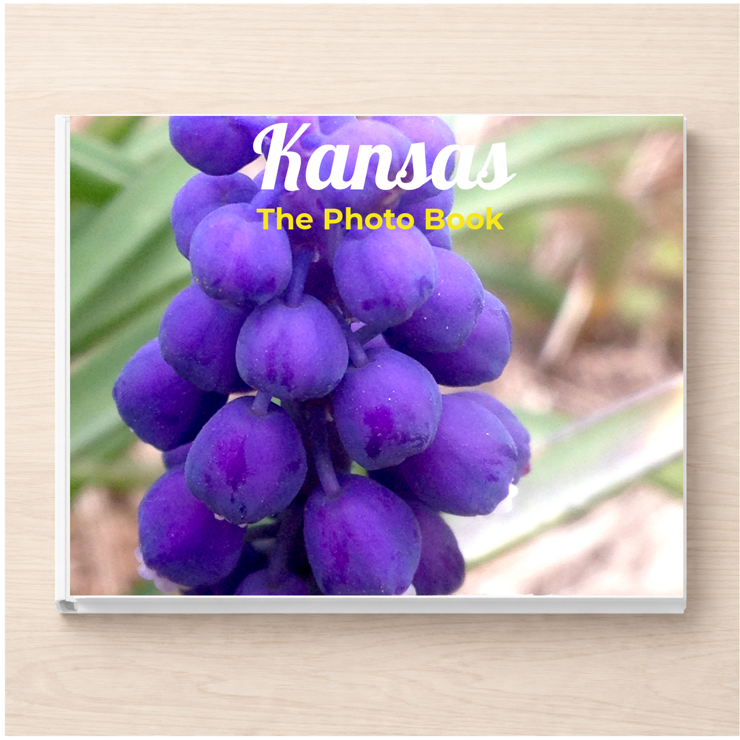Kansas: The Photo Book