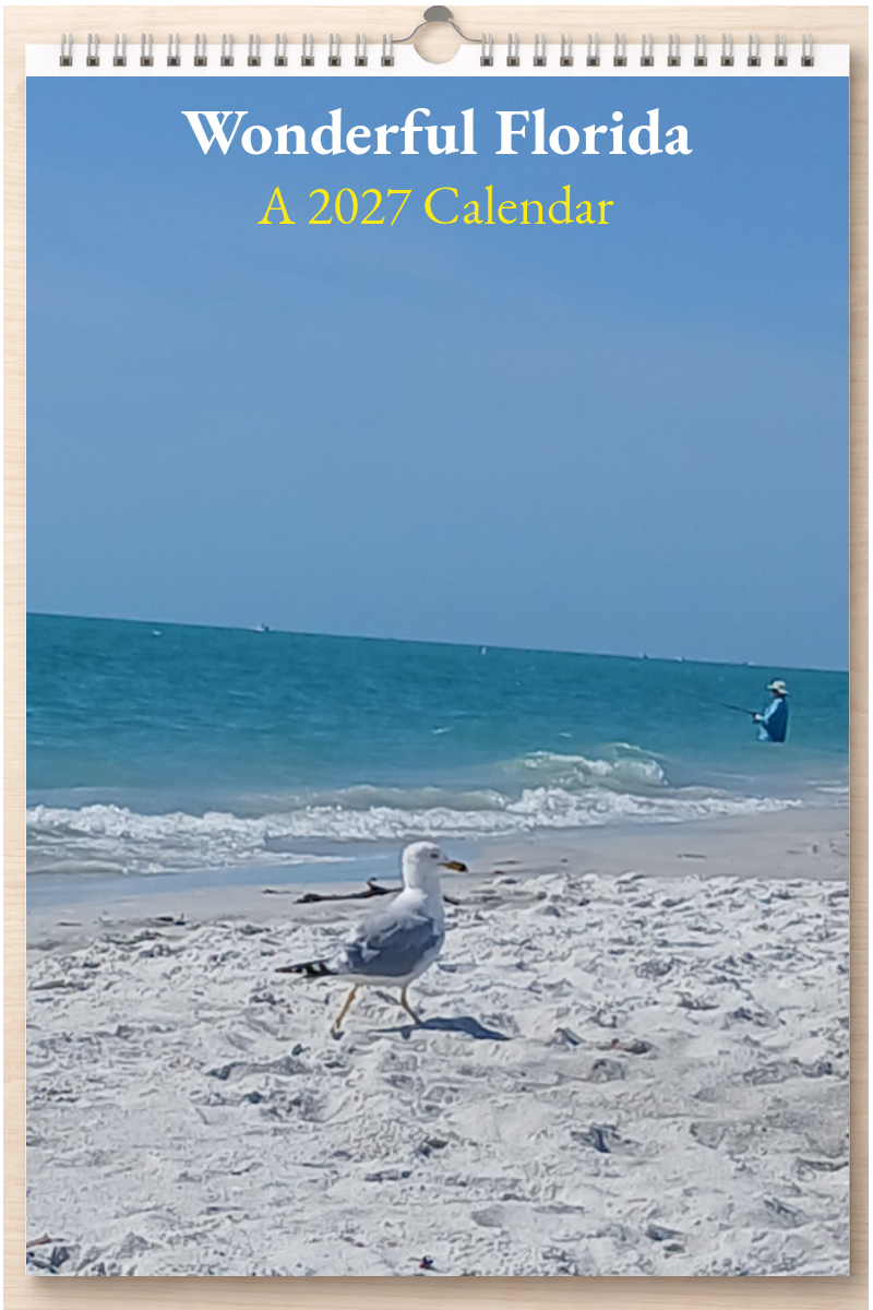 Wonderful Florida: A 2027 Calendar