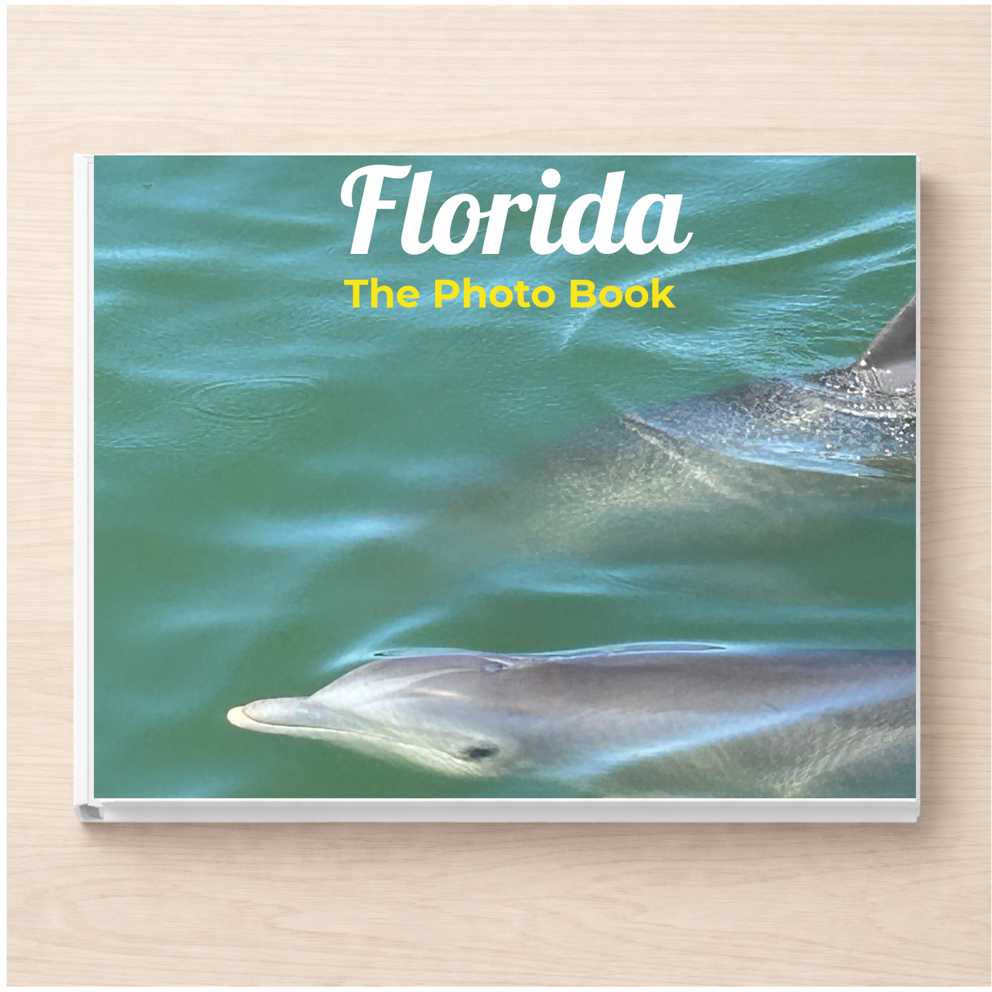 Florida: The Photo Book