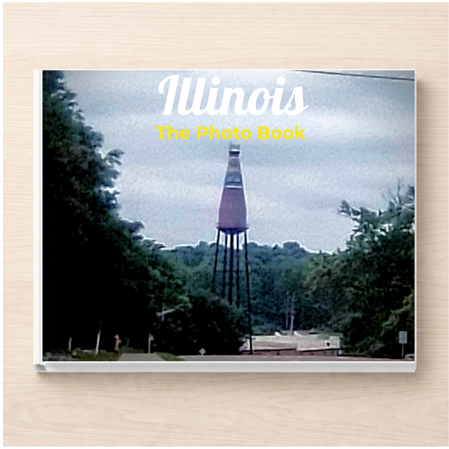 Illinois: The Photo Book