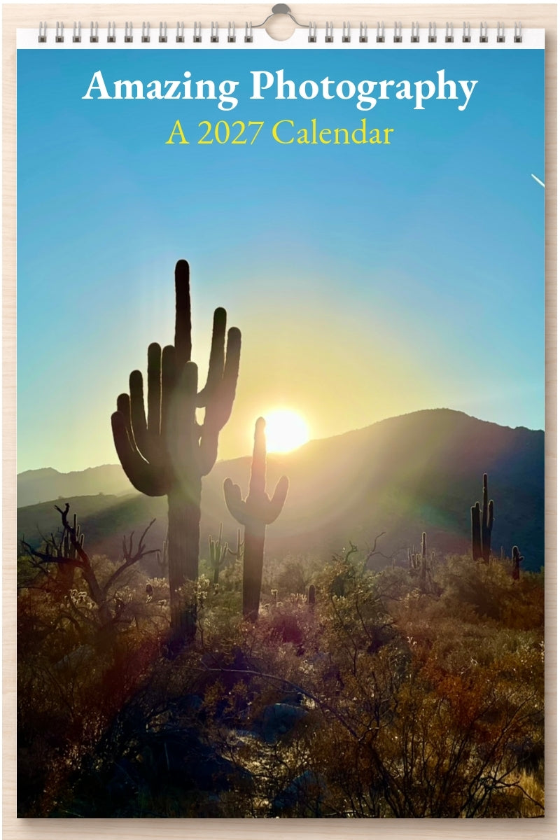 Amazing Photography: A 2027 Calendar