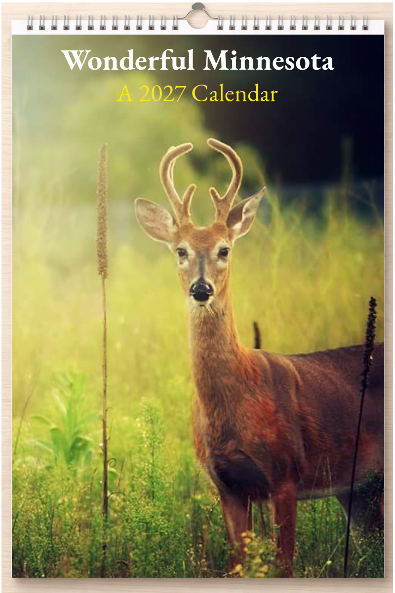 Wonderful Minnesota: A 2027 Calendar