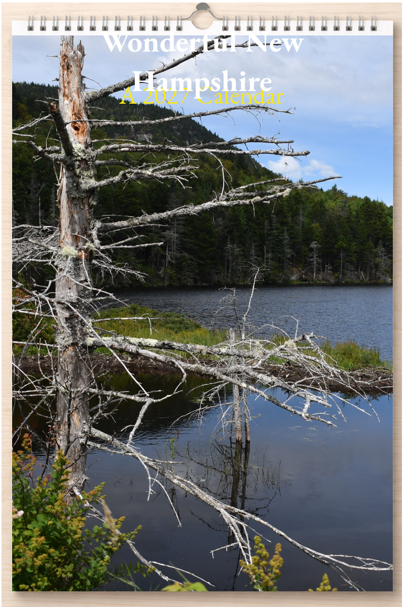 Wonderful New Hampshire: A 2027 Calendar