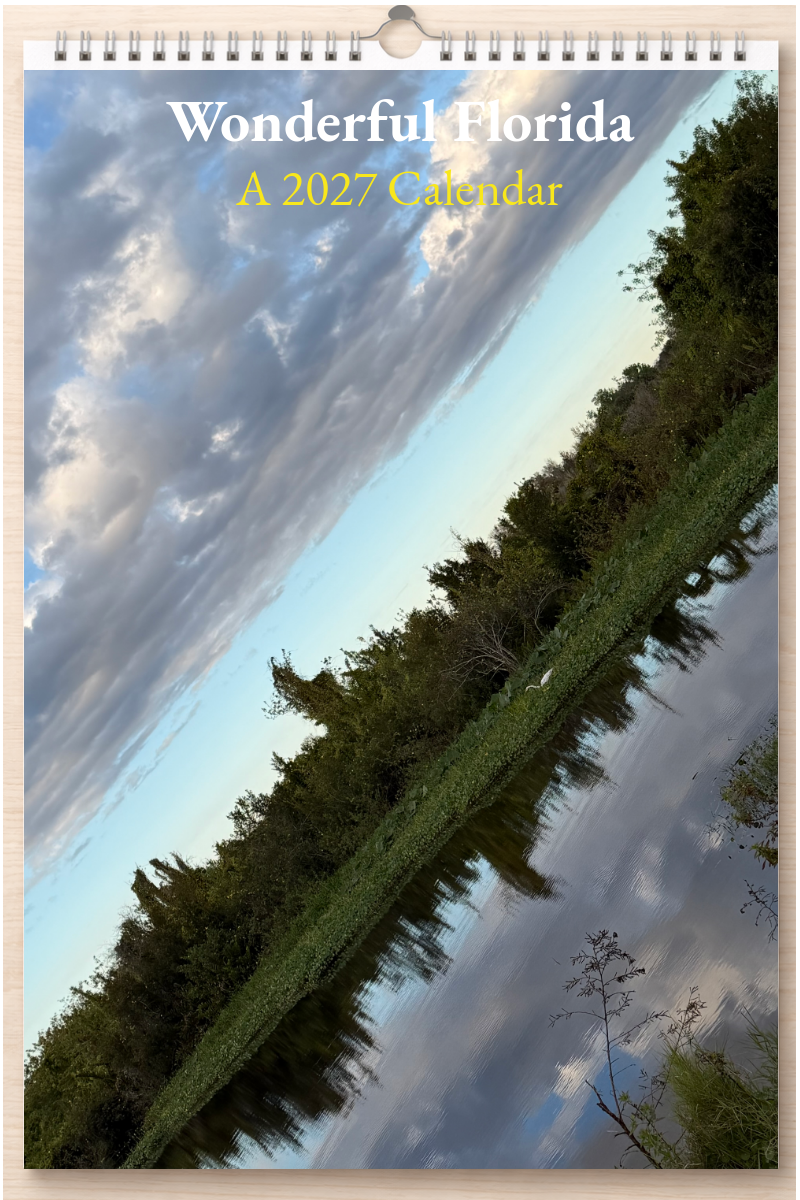 Wonderful Florida: A 2027 Calendar