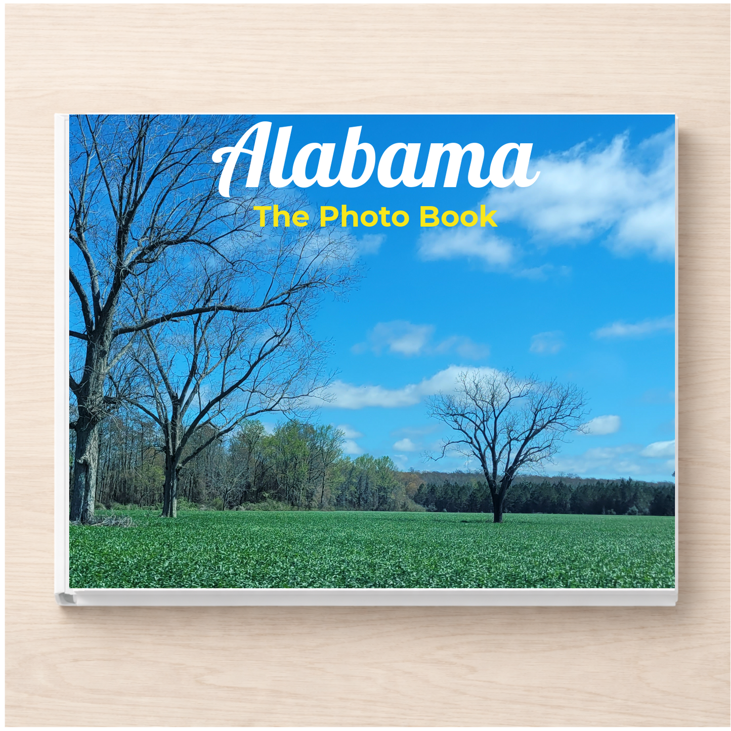 Alabama: The Photo Book