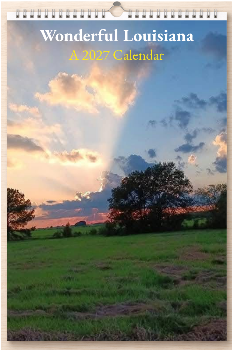Wonderful Louisiana: A 2027 Calendar